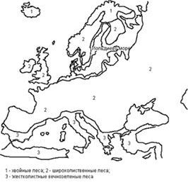 Рефераты | Рефераты по биологии | История развития растительного покрова в Европе за последние 150 000 лет