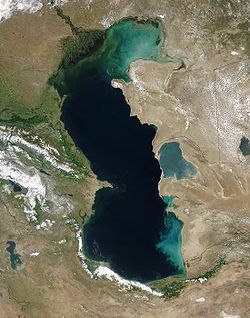 Рефераты | Рефераты по экологии | Каспий. Проблемы Каспия, решения проблем Каспия на современном этапе