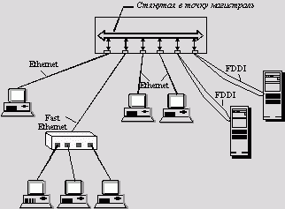 Рефераты | Рефераты по информатике, программированию | Типовые схемы применения коммутаторов в локальных сетях