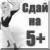 Рефераты | Рефераты по ветеринарии | Исследование сердечно-сосудистой системы