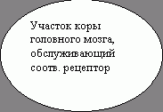 Рефераты | Рефераты по безопасности жизнедеятельности | Человек как элемент среды обитания