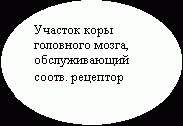 Рефераты | Рефераты по безопасности жизнедеятельности | Основы безопасности жизнедеятельности