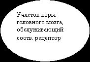 Рефераты | Рефераты по безопасности жизнедеятельности | Основы безопасности жизнедеятельности