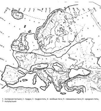 Рефераты | Рефераты по биологии | История развития растительного покрова в Европе за последние 150 000 лет