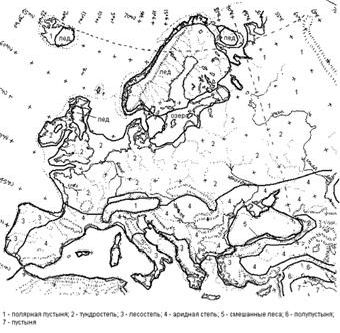 Рефераты | Рефераты по биологии | История развития растительного покрова в Европе за последние 150 000 лет