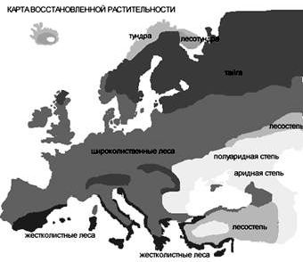 Рефераты | Рефераты по биологии | История развития растительного покрова в Европе за последние 150 000 лет