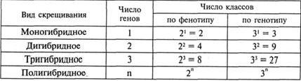 Рефераты | Рефераты по биологии | Менделевская генетика