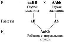 Рефераты | Рефераты по биологии | Менделевская генетика