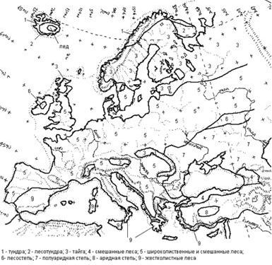 Рефераты | Рефераты по биологии | История развития растительного покрова в Европе за последние 150 000 лет