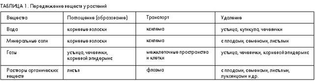 Рефераты | Рефераты по биологии | Поглощение воды корнем и ее транспорт у цветковых растений