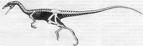 Рефераты | Рефераты по биологии | Динозавры из Подмосковья