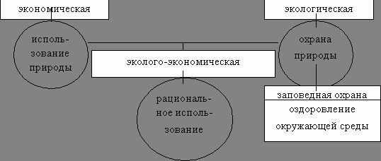 Рефераты | Рефераты по экологии | Загрязнение окружающей среды