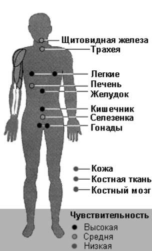 Рефераты | Рефераты по экологии | Воздействие атомных станций на окружающую среду