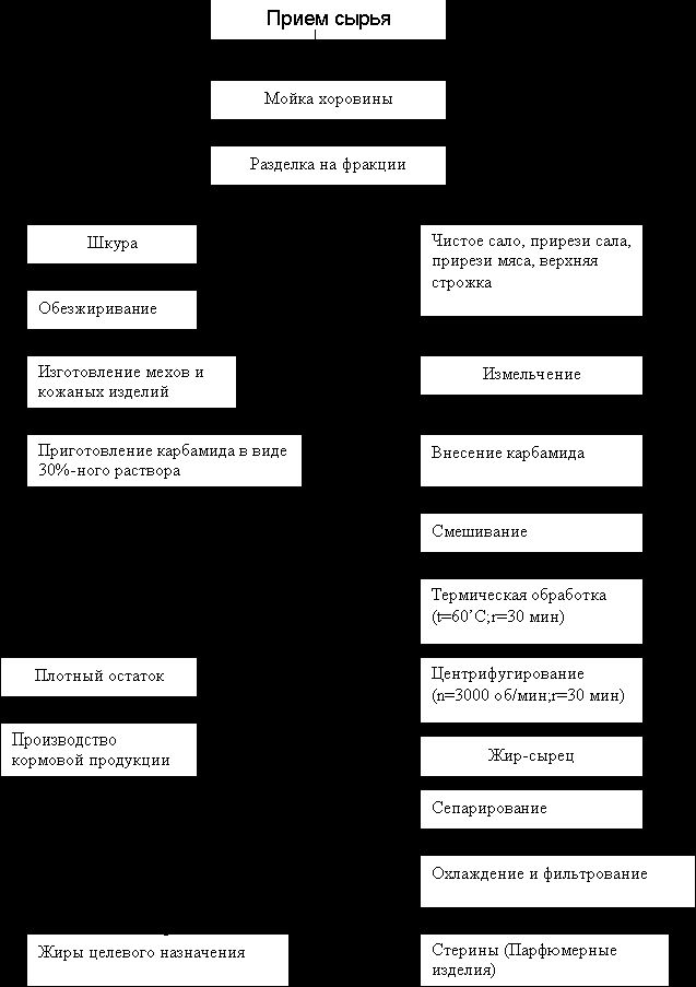 Рефераты | Рефераты по экологии | Нерпа - Эндемик Байкала
