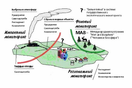 Рефераты | Рефераты по экологии | Экология популяций