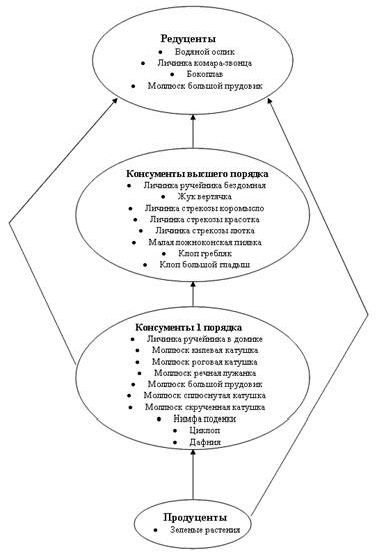 Рефераты | Рефераты по экологии | Оценка экологического состояния реки Клязьма методом биоиндикации