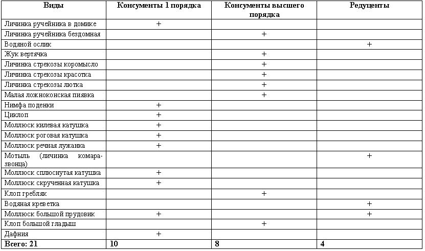 Рефераты | Рефераты по экологии | Оценка экологического состояния реки Клязьма методом биоиндикации