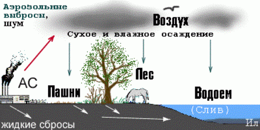 Рефераты | Рефераты по экологии | Воздействие атомных станций на окружающую среду