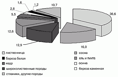 Рефераты | Рефераты по экологии | Охрана лесов: цифры и реальность