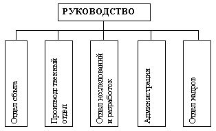 Рефераты | Рефераты по эргономике | Управление бизнес-единицами: децентрализация предпринимательства