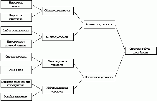 Рефераты | Рефераты по физкультуре и спорту | Физическая культура личности как неотъемлемая часть общей культуры