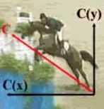Рефераты | Рефераты по физкультуре и спорту | Механика прыжка лошади