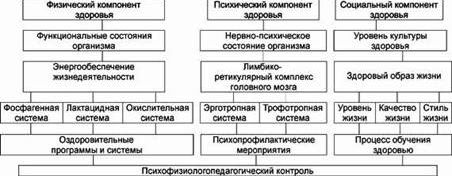 Рефераты | Рефераты по физкультуре и спорту | Здоровьесберегающие технологии в системе высшего педагогического образования