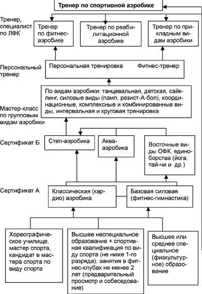 Рефераты | Рефераты по физкультуре и спорту | Система подготовки специалистов по аэробике