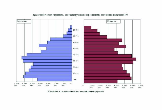 Рефераты | Рефераты по географии | Воспроизводство населения России и его перспективы