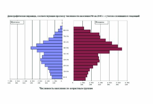 Рефераты | Рефераты по географии | Воспроизводство населения России и его перспективы