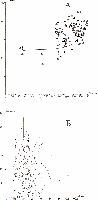 Рефераты | Рефераты по географии | Включения ультрамафитов в базальтоидах островных дуг