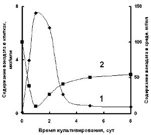 Рефераты | Рефераты по географии | Изменения окислительно-восстановительного потенциала среды