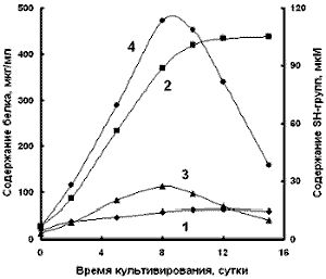 Рефераты | Рефераты по географии | Изменения окислительно-восстановительного потенциала среды