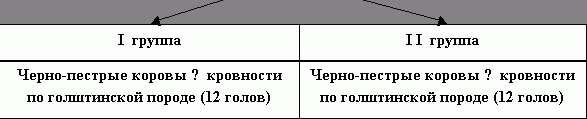 Рефераты | Рефераты по географии | Скотоводство