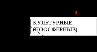 Рефераты | Рефераты по географии | Комплексное освоение прибрежной зоны Черного моря – важнейший фактор ее устойчивого развития