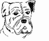 Рефераты | Биология и химия | Купирование хвоста собаки