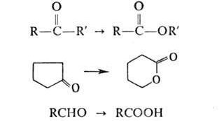 Рефераты | Биология и химия | Реакция Байера-Виллигера