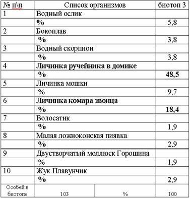 Рефераты | Биология и химия | Видовая структура фауны беспозвоночных ручья «Канальный»