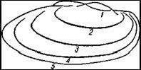 Рефераты | Биология и химия | Двустворчатые моллюски: беззубки, перловицы, шаровки, горошинки