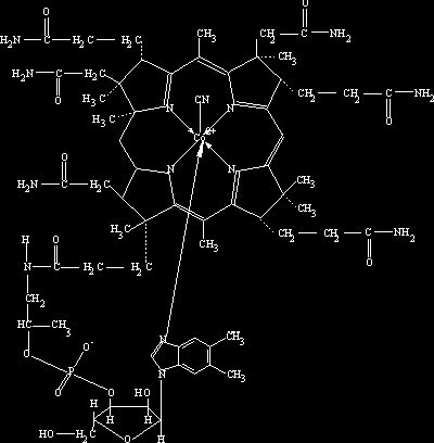 Рефераты | Биология и химия | Биологическое и медицинское значение производных имидазола и тиазола
