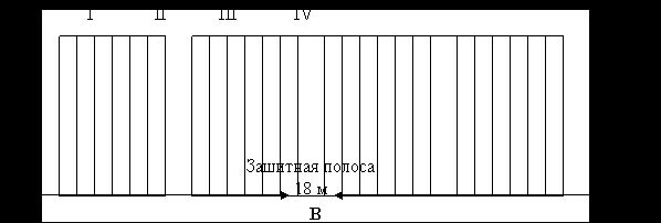 Рефераты | Биология и химия | Сортоиспытание сортов картофеля иностранной и отечественной селекции