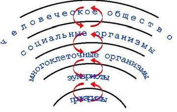 Рефераты | Биология и химия | Ранние этапы эволюции жизни