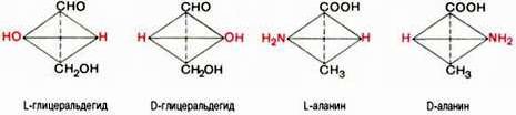 Рефераты | Биология и химия | Общие свойства аминокислот