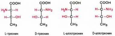 Рефераты | Биология и химия | Общие свойства аминокислот