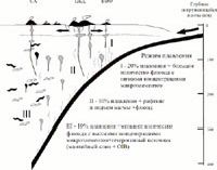 Рефераты | Рефераты по геологии | Природа геохимической зональности вкрест простирания Камчатской островной дуги