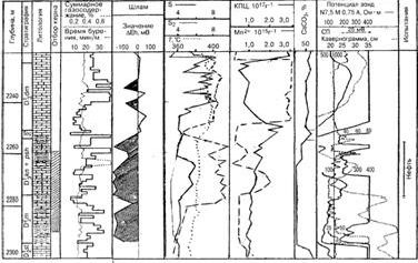 Рефераты | Рефераты по геологии | Методы оперативного изучения геологического разреза нефтегазовых скважин