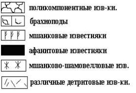 Рефераты | Рефераты по геологии | Брахиоподы ассельского яруса