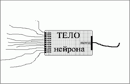 Рефераты | Рефераты по информатике, программированию | Алгоритмы нейрокибернетики