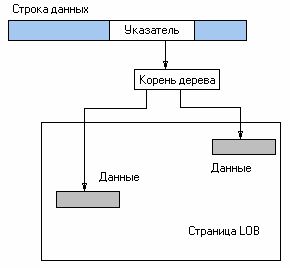 Рефераты | Рефераты по информатике, программированию | Работа с объектами большого объема в MS SQL и ADO