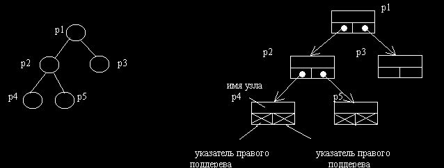 Рефераты | Рефераты по информатике, программированию | Ссылочные типы. Динамические переменные